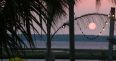 OC Sunset